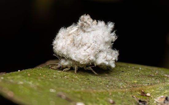 bet166login - Junk collector